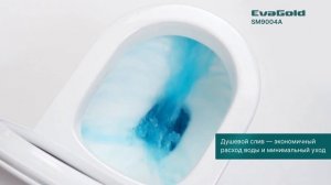 Обзор унитаза-моноблока SM9004A EvaGold