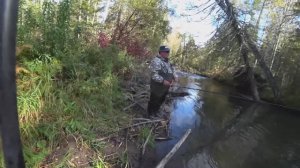 НАБРЕЛИ на РЕЧКУ в Тайге# попали на КЛЁВ Хариуса# СТОЛЬКО РЫБЫ В РЕЧКЕ  КИШИТ!!!