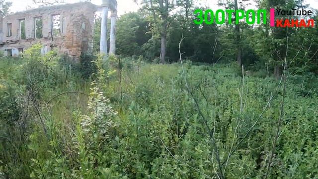 Усадьба Браницких. Рудое село. Киевская область. Руде ? смотреть онлайн