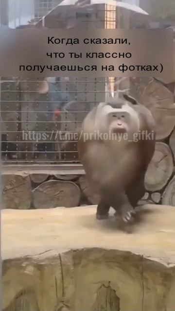 Когда сказали, что ты классно получаешься на фотках)