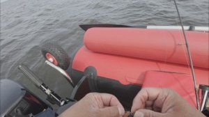 (4К) Рыбалка на Финском заливе. Бронка. Южная дамба. Окунь. 02 06 2025.