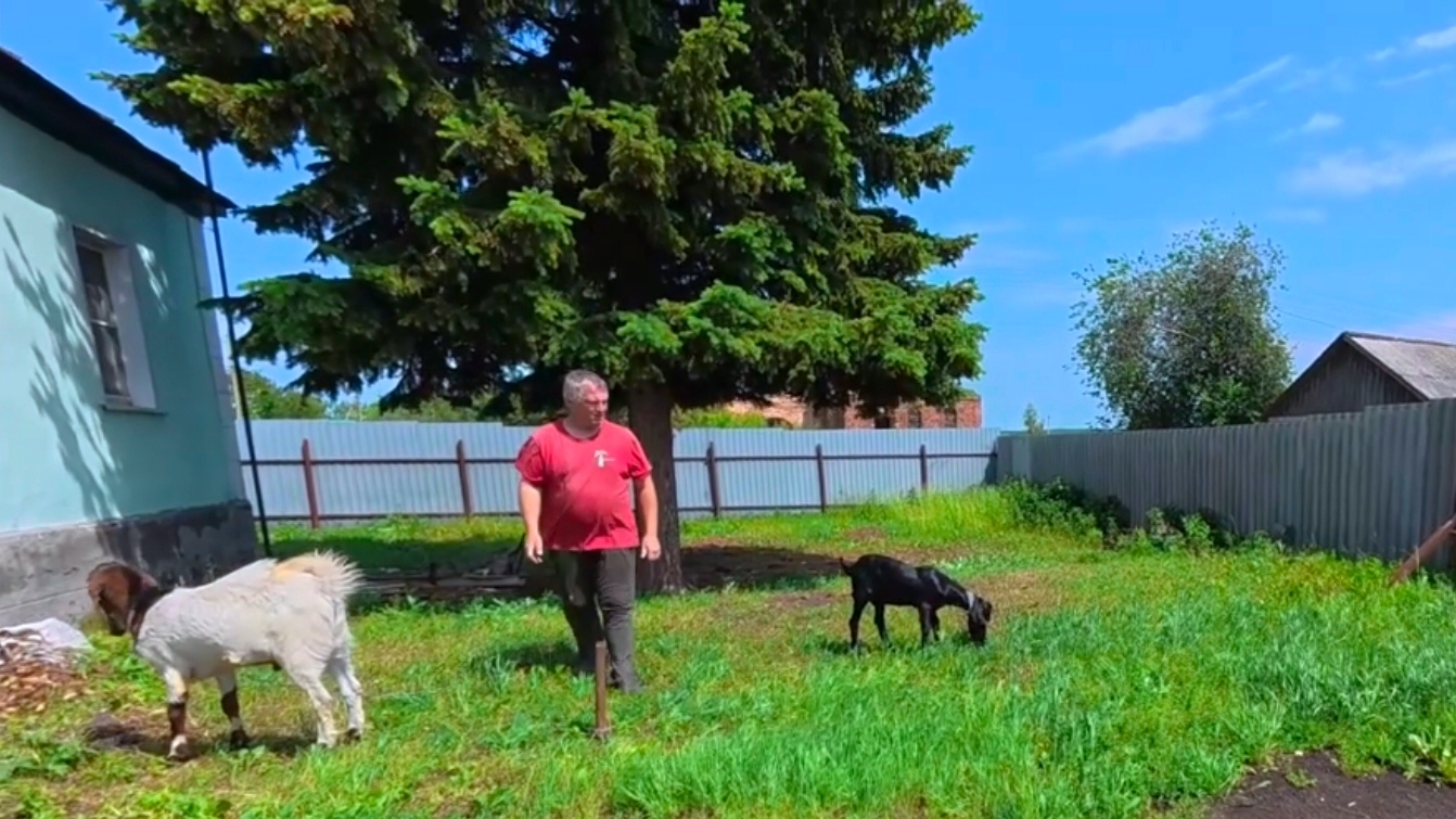 Работы всегда хватает. Приучаем к ошейнику и проводку смотреть онлайн