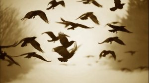 Вдали шумели камыши. Судили парня молодого. Песня юности когда то играли её во дворе на гитаре.