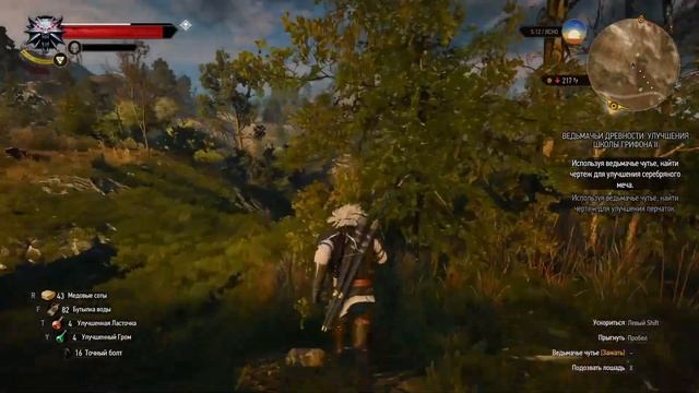 ШКОЛА ГРИФОНА | Ведьмак 3: Дикая Охота #25