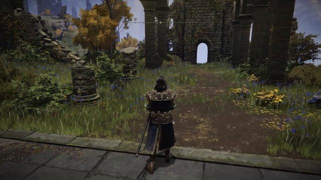 УСТАНОВКА SEAMLESS COOP И ДРУГИХ МОДОВ НА ELDEN RING #eldenring  #юлик #eldenringmod  #eldenringmod