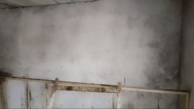 Моя маленькая птицеферма! смотреть онлайн