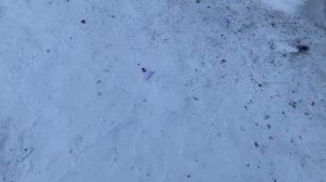 КАК СДЕЛАТЬ ПОРОХ||#порох #петарды #новыйгод2024 #химия #ha