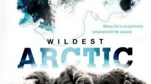 Discovery: Суровая Арктика / Wildest Arctic. 2 серия. Тайга - Замёрзшие леса