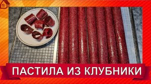 Как готовить ПАСТИЛУ ИЗ КЛУБНИКИ * в Домашних Условиях Без Сахара в Сушилке? Клубничное лакомство.