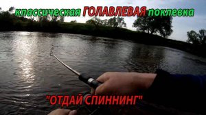 Голавль всего один, но зато какая поклевка. Ловля голавля на спиннинг.