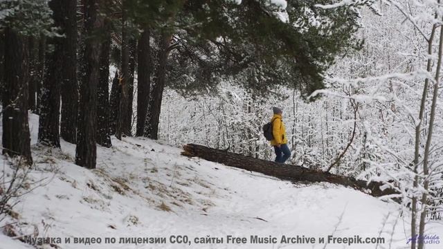 Цветущие поля и цветущие ноты! - Space Orbit -- Scott Holmes Music -- Media Music Mix смотреть онлайн