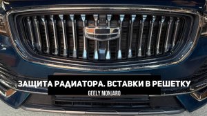 Установка/монтаж вставок решетки радиатора.Защита радиатора взамен сетки Джили Монжаро/Geely Monjaro