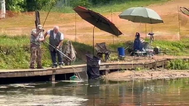 Осетрина смотреть онлайн