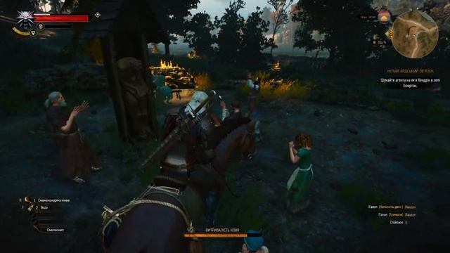 The Witcher 3 Wild Hunt - Нильфгаардский связной