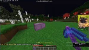 Новый дюп TnTLand 1.16.5 (2023 07.19)