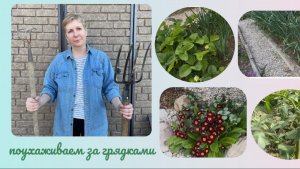 Грядки без сорняка | Что нужно сделать чтобы не росла трава.