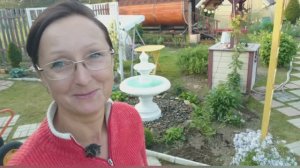 Видео привет с 6 соток в начале июня 2025 года. 5 июня