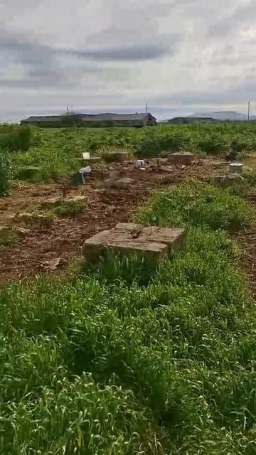 с.Яковенково, ул.Славы 2