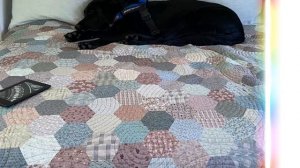 Линетт Андерсон: Как ткани рассказывают истории? 🐾✨ Лоскутные секреты от австралийского дизайнера