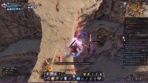 ПАЛАДИН В ПВП Throne and Liberty