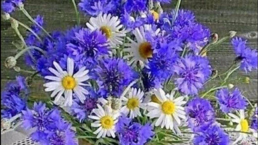 Наш козел-Страж порядка.* Прогулки в парке*Пеку хлебушек.Три дня со мной. смотреть онлайн