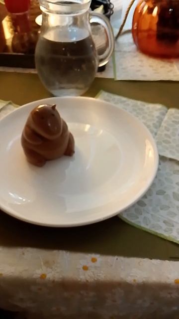 ДАЖЕ ЕДА 🍽 С КАПИБАРОЙ!!! смотреть онлайн