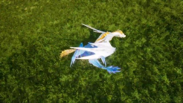 Бои за жемчуг | Day Of Dragons