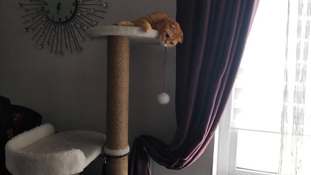 Охотница смотреть онлайн