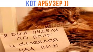 КОТ АРБУЗЕР ))) Приколы | Мемозг 1616