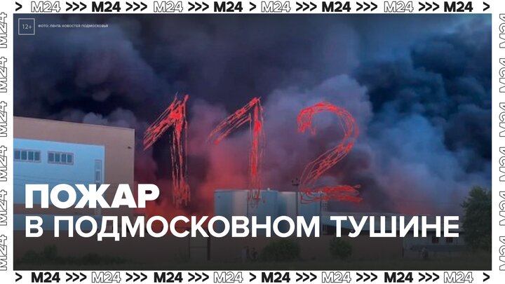 В подмосковном Пушкине спасатели продолжают тушить пожар - Москва 24 смотреть онлайн