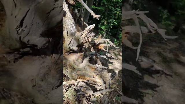 Лучшие моменты трансляции 