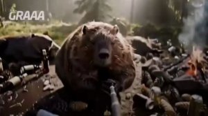 Бобры рассказали про свои рабочие будни — уже по канону, на польском языке