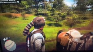 Гайд на седло ,,следопыт,,в RDR2