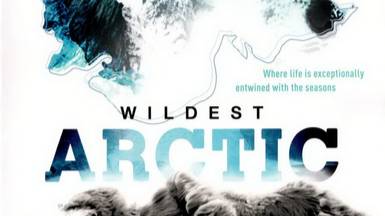 Discovery: Суровая Арктика / Wildest Arctic.1 серия. Северный Ледовитый океан - Замёрзшие моря