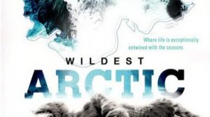 Discovery: Суровая Арктика / Wildest Arctic.1 серия. Северный Ледовитый океан - Замёрзшие моря