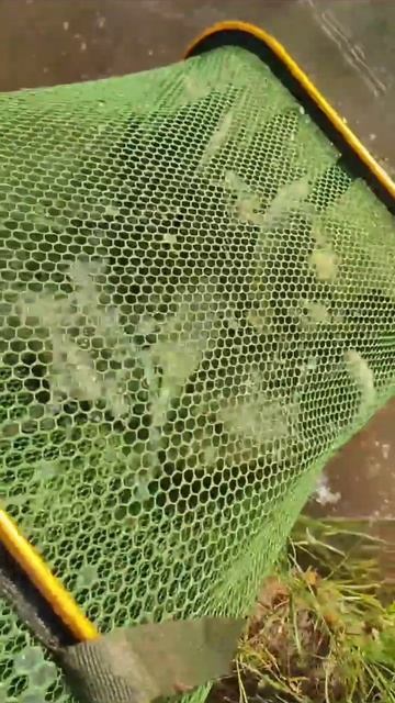 Херабунка рулит.