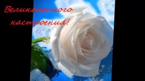 ПОЗДРАВЛЯЮ!!!
