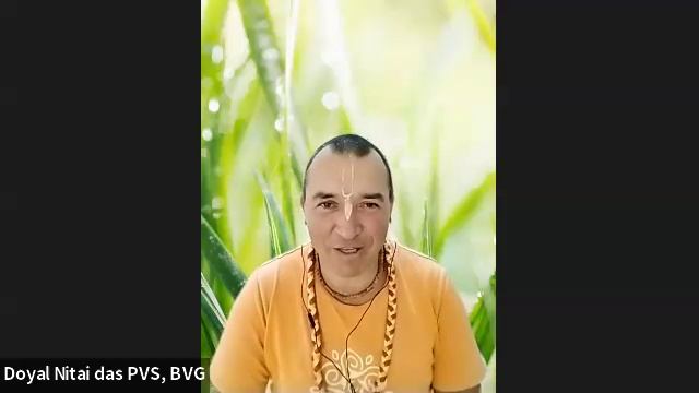 ШБ 1.17.17 лектор Доял Нитай дас (08.06.2025) смотреть онлайн