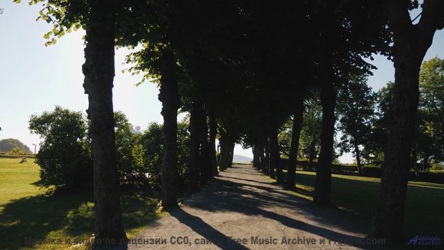 Красота Земли оживает вместе с мелодией - Chainlink Melody -- Podington Bear -- Said Lion To Lamb (B