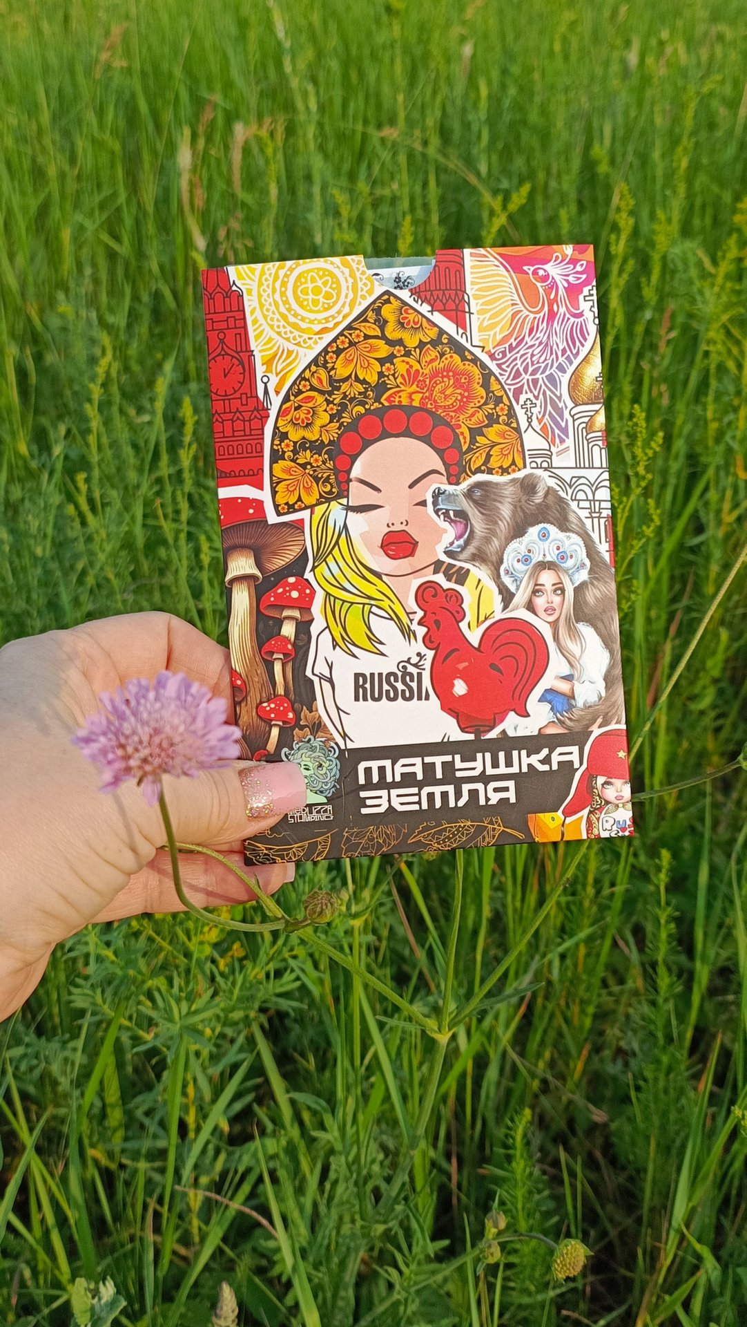 Новинка от Meduzza stamping 🔥 смотреть онлайн