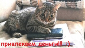 привлекаем ДЕНЬГИ! :)