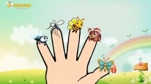 Насекомые. Папа-пальчик.