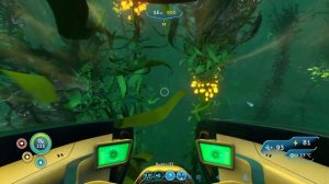 как найти биом грибной лес в сабнатике