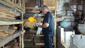 Кролики 75 (Глисты у кроликов!? Что делать?)...