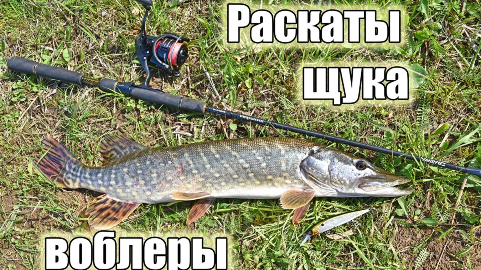 Весенние раскаты Подмосковья