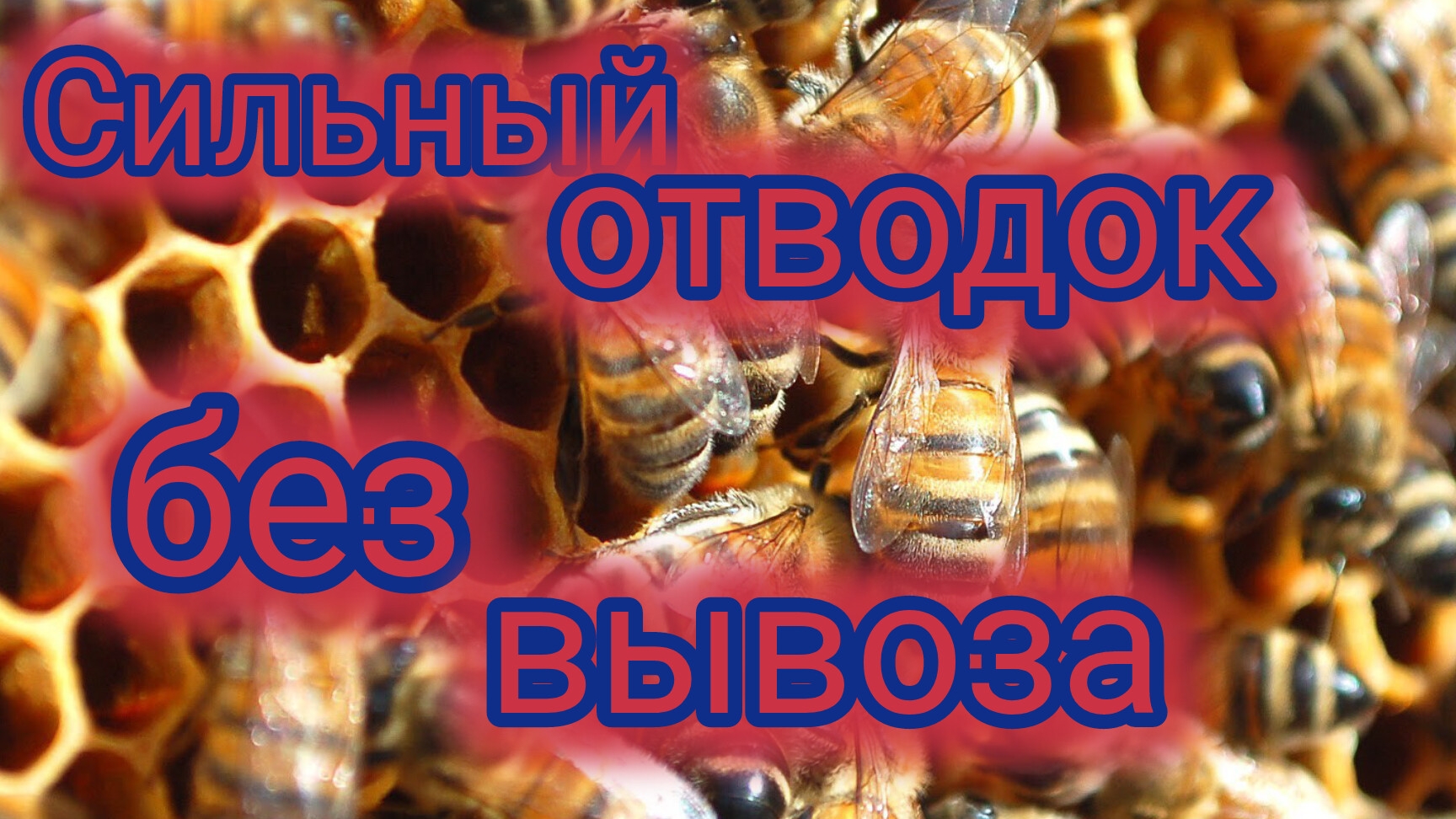 Сильный отводок без вывоза смотреть онлайн