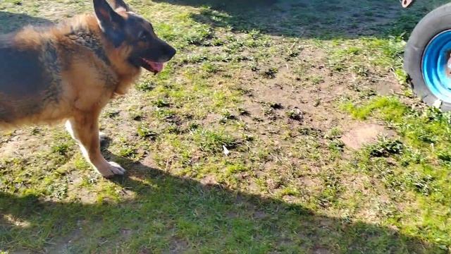 Распаковка и отзыв на усилитель Wi-Fi Mercusys смотреть онлайн