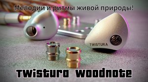 Обзор Twistura WoodNote: Мелодии и ритмы живой природы!