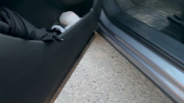 Плафоны в дверях HAVAL F7 2024