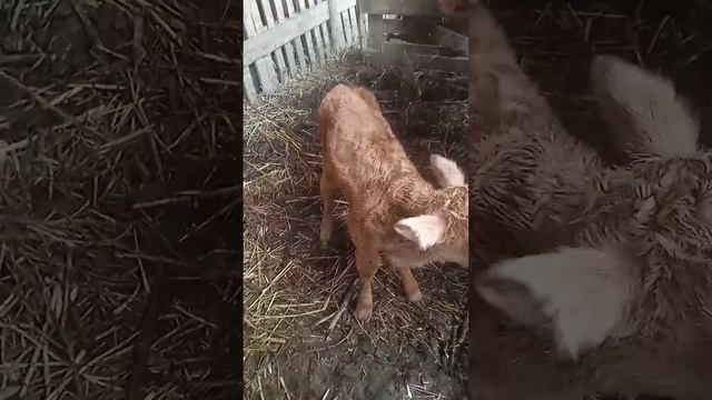 15 марта 2024 г. смотреть онлайн